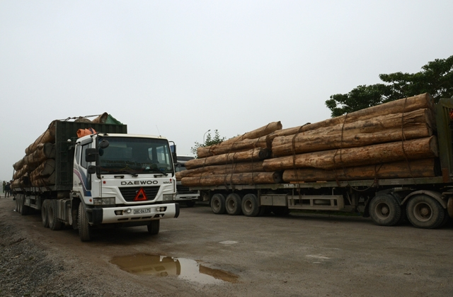 dịch vụ vận chuyển xe tải chở gỗ