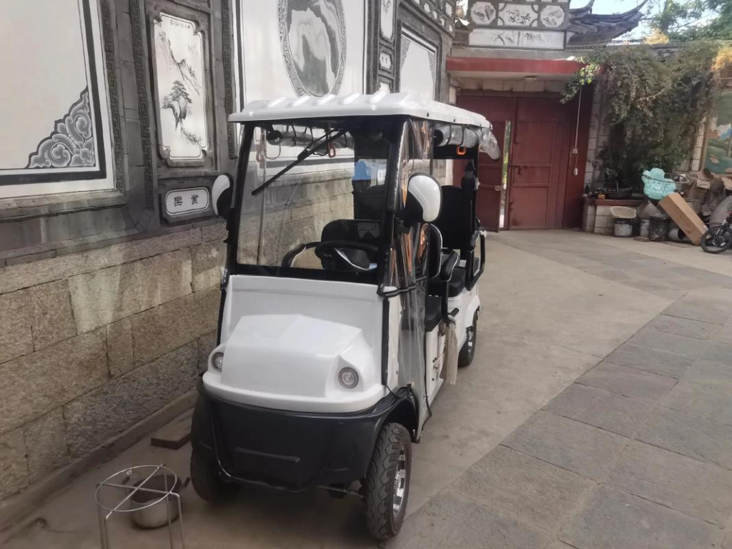 Xe điện 4 – 6 chỗ