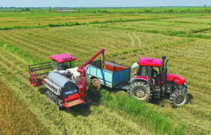 dịch vụ vận chuyển xe cộ lúa