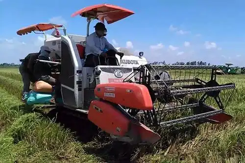 máy gặt Kubota