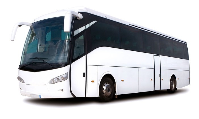 Xe 50 chỗ